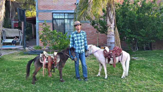 Renta Ponies de Ags. 4491443190